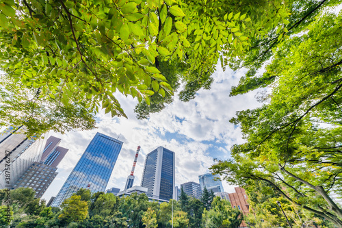 Wallpaper Mural 新緑の木と東京のビル群 Torontodigital.ca