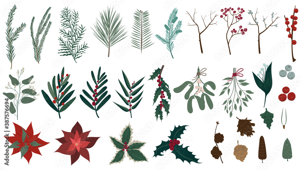 Fototapeta premium Vector collection of Christmas plants. Hand drawn set of winter festive flowers, branches, twig, berries, pines and other greenery isolated on white background. Stylish flat elements for your design.