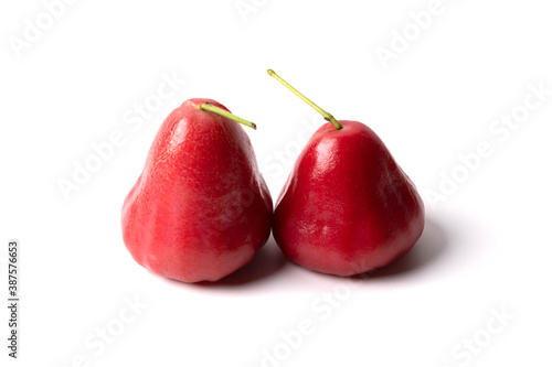 Bright red rose apple on a white background