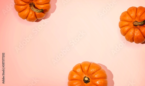Autumn orange pumpkins overhead view - flat lay