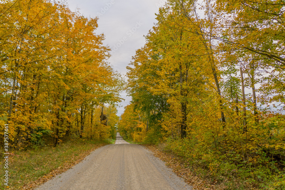the small road of Ontario in autumn, Canada