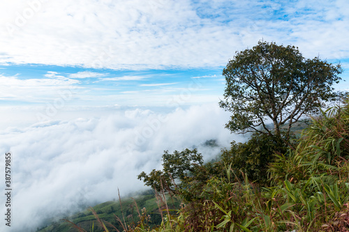 The view on the top of Phu Thap Boek Mountain overlooking the beautiful morning mist. © shutterbumpkin