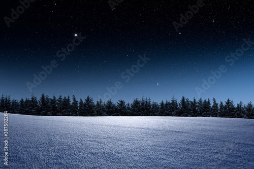Winterliche Landschaft mit Tannenwald  und Sternenhimmel