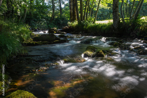 Auvergne