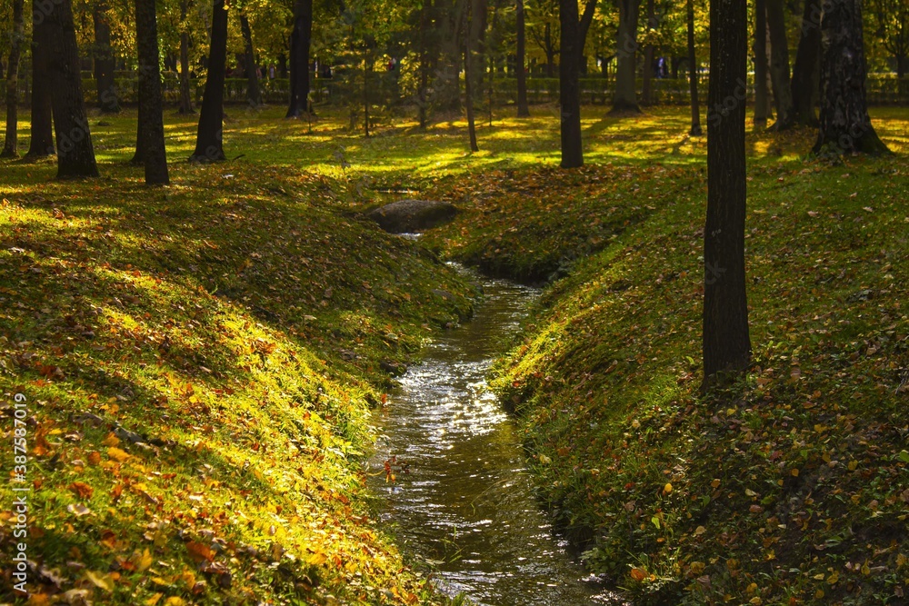 Fototapeta premium autumn in the park