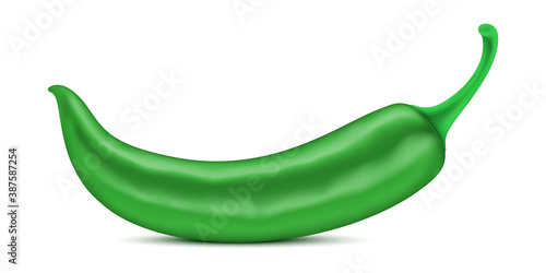 Green pepper vector illustration. Single bent pepper with stem, lying down on a white surface. Realistic pepper, with studio light effect, isolated on background.