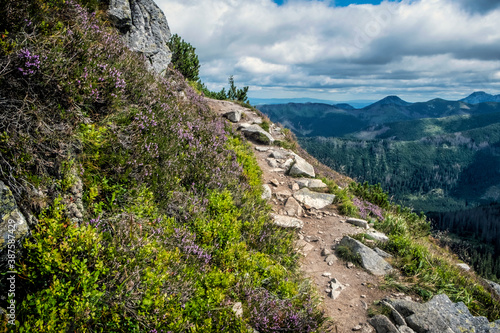 Western Tatras scenery, Slovakia, hiking theme