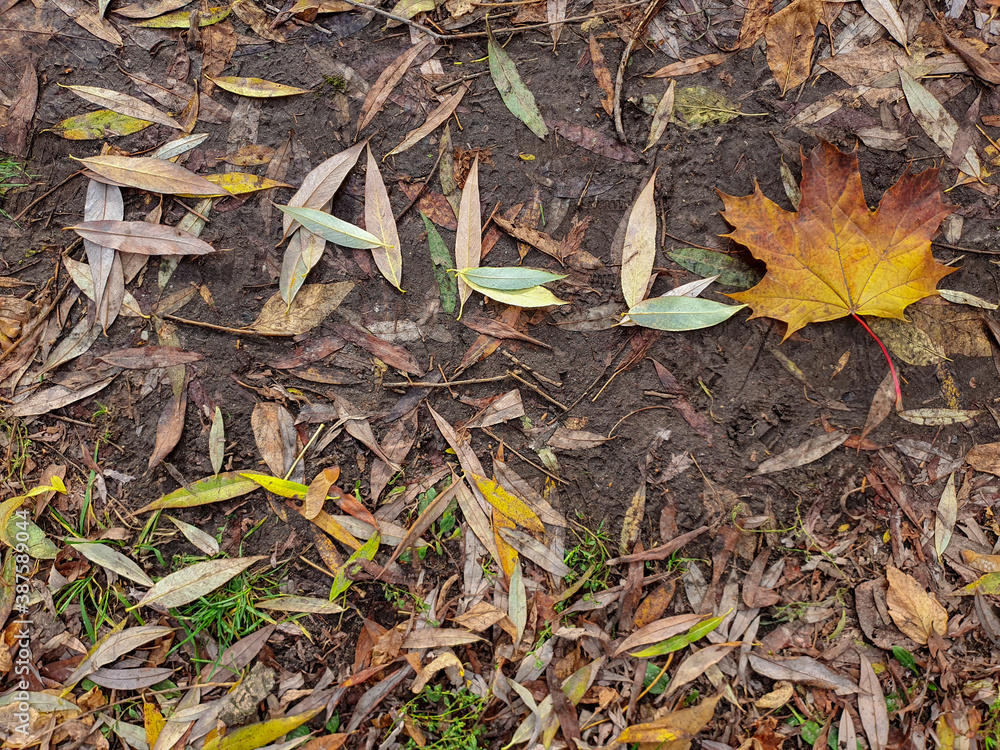 On the ground, the word On the ground, the word