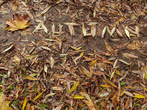On the ground, the word "autumn" is made of twigs and dried leaves.