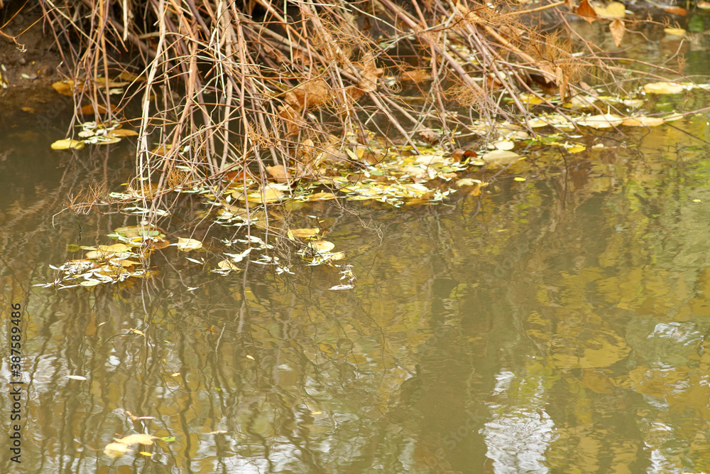 Herbstliches Motiv bei gutem Wetter