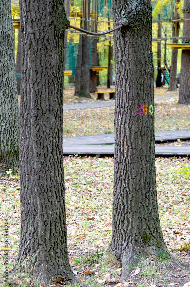 Horizontal bar between the trees. Horizontal bar between the trees.