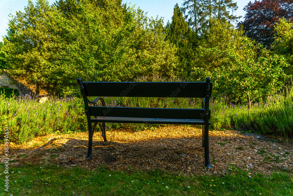 Empty wooden bench in a public park with lush greenery