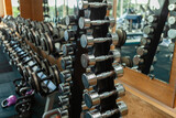 Rack with dumbbells in the gym