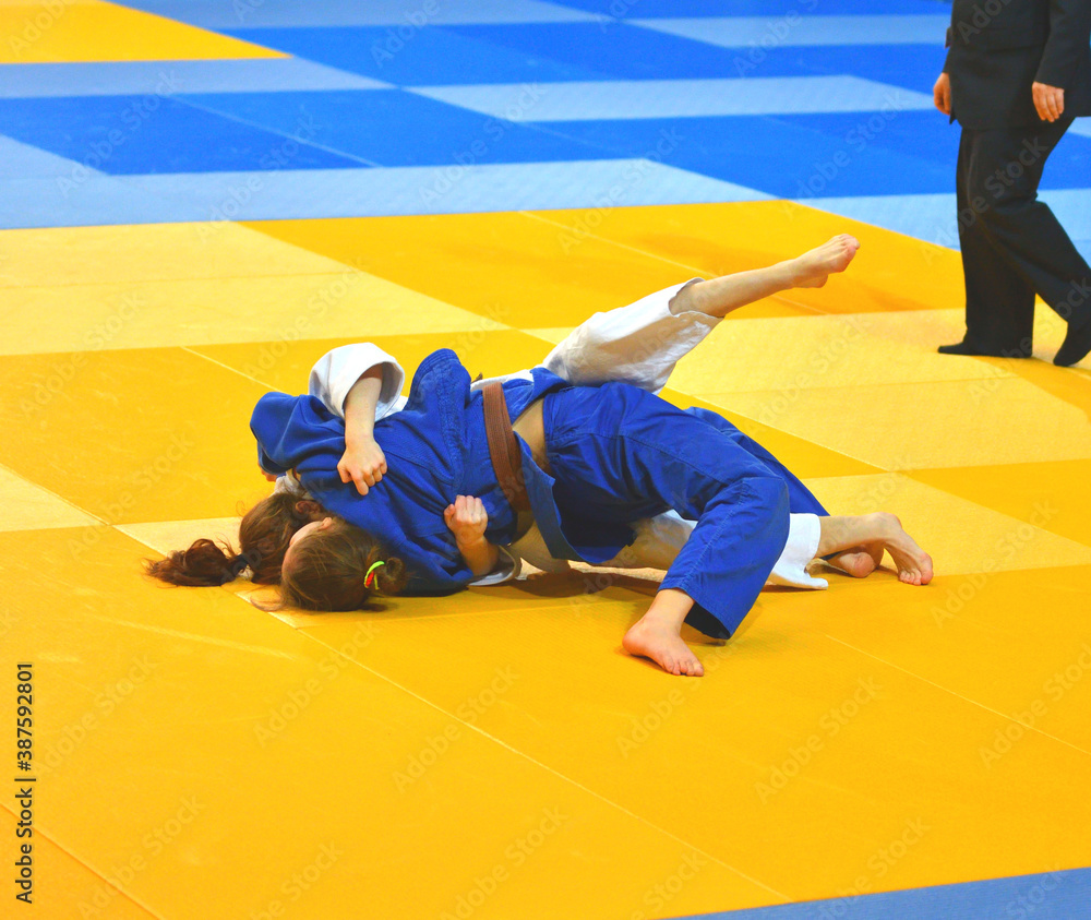 Two Girls judoka in kimono compete on the tatami StockFoto Adobe Stock