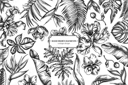 Floral design with black and white monstera, banana palm leaves, strelitzia, heliconia, tropical palm leaves, orchid