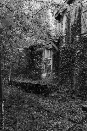 Wallpaper Mural urbex Torontodigital.ca