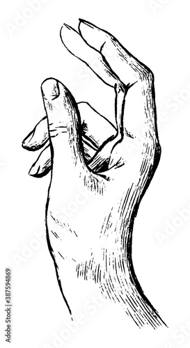 Hand holds something small. Hand drawn vector contour illustration. Realistic retro graphic drawing isolated on white. Single black doodle element for design print, poster, decor, typography, sticker.