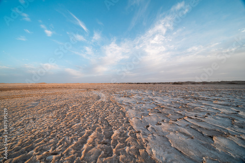 landscape desert with sky