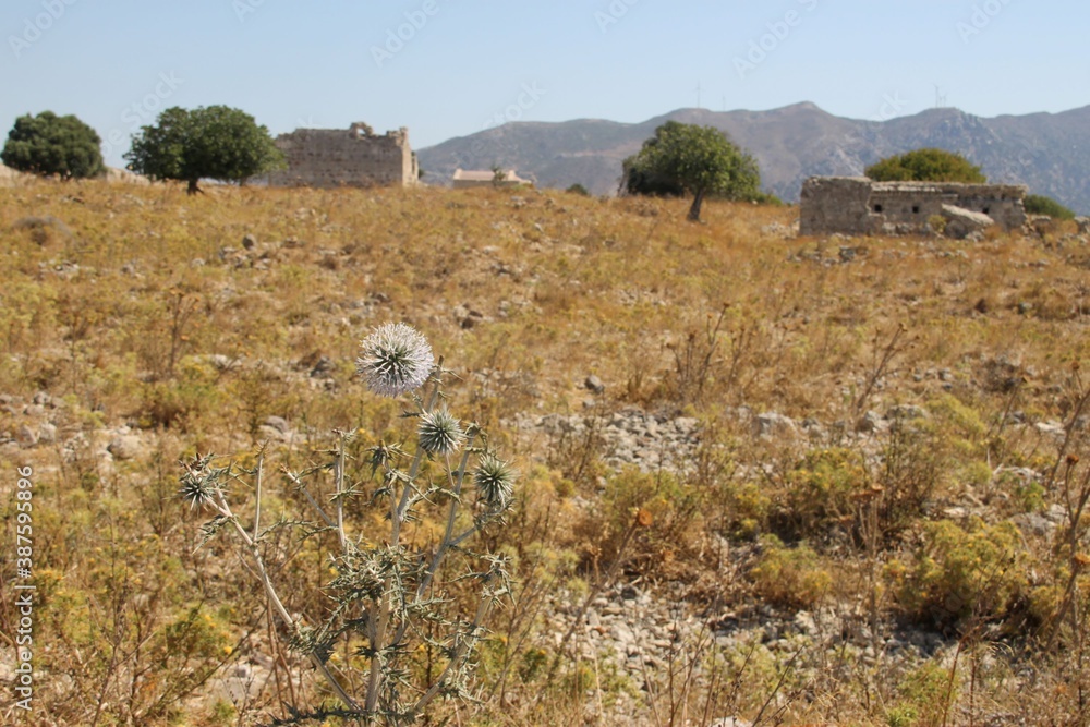 Ruins of Antimachia, Kos Island, Greece