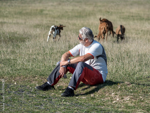 Senior man sitting and meditating on ground near goats grazing on blurry background.  photo