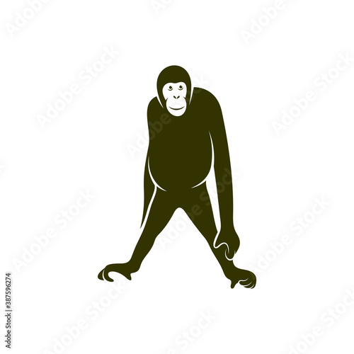 Orangutan logo design vector template, Illustration design Orangutan Monkey, Symbol Icon © shuttersport
