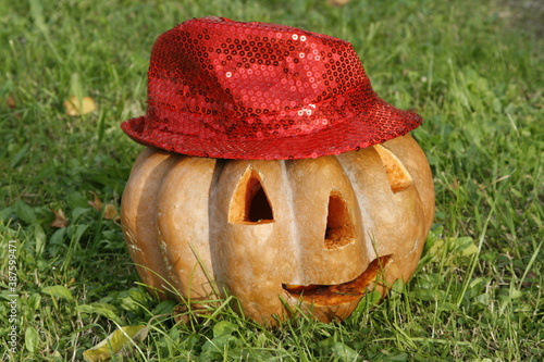 zucca di holloween  festosa con cappello photo