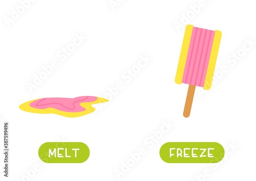 MELT and FREEZE antonyms word card vector template. Flashcard for english language learning. Opposites concept. Ice cream lolly, ice cream melted.