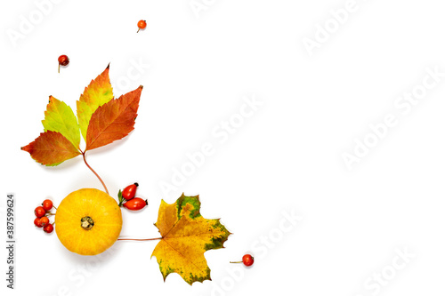 Autumn decor. Natural food  harvest with orange pumpkin  fall dried leaves  rowan berries isolated on white background. Copy space for text. Halloween  Thanksgiving day or seasonal autumnal.