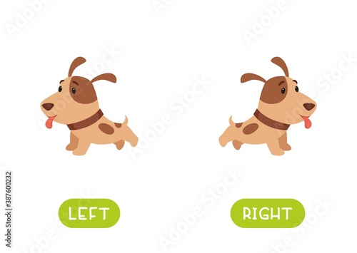 LEFT and RIGHT antonyms word card vector template. Flashcard for english language learning. Opposites concept. The puppy runs right and left