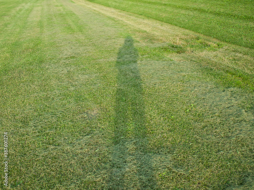 芝生と一人の影