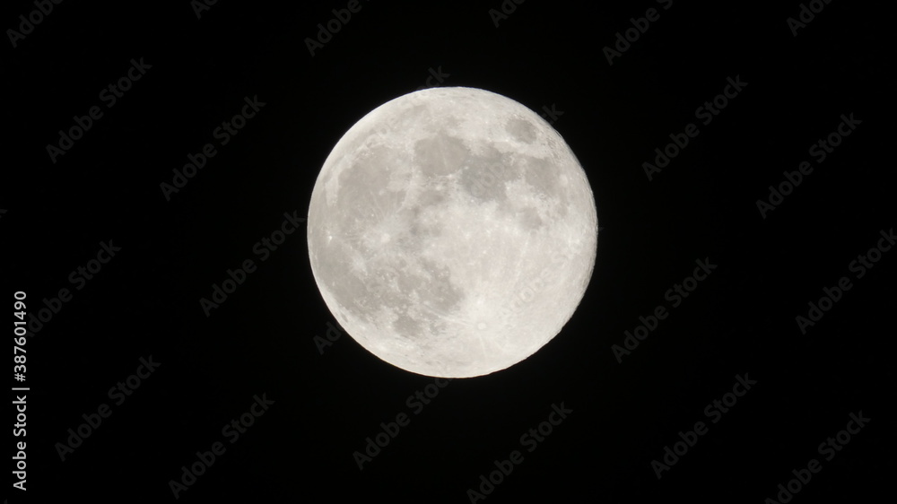 Obraz premium full moon in the night