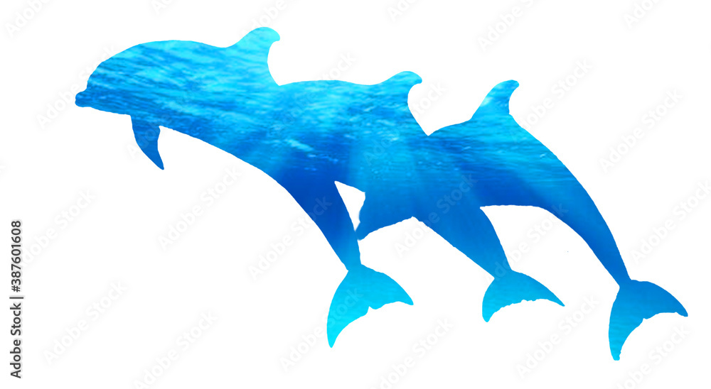 Obraz premium イルカのシルエット