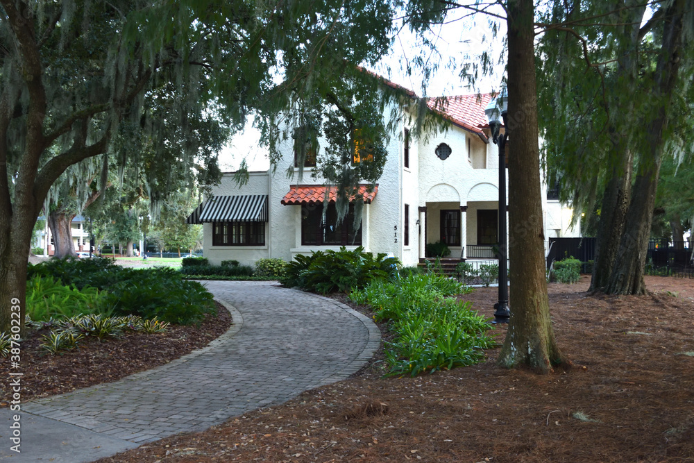 House among the trees in the park House among the trees in the park