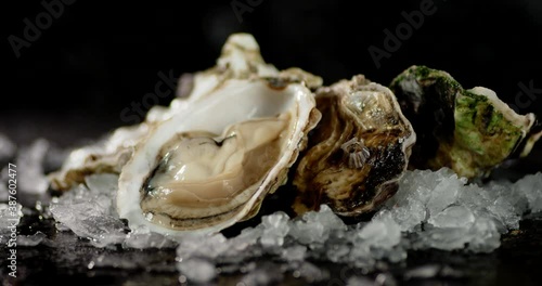 Fresh oysters with pieces of ice on the table rotate. 