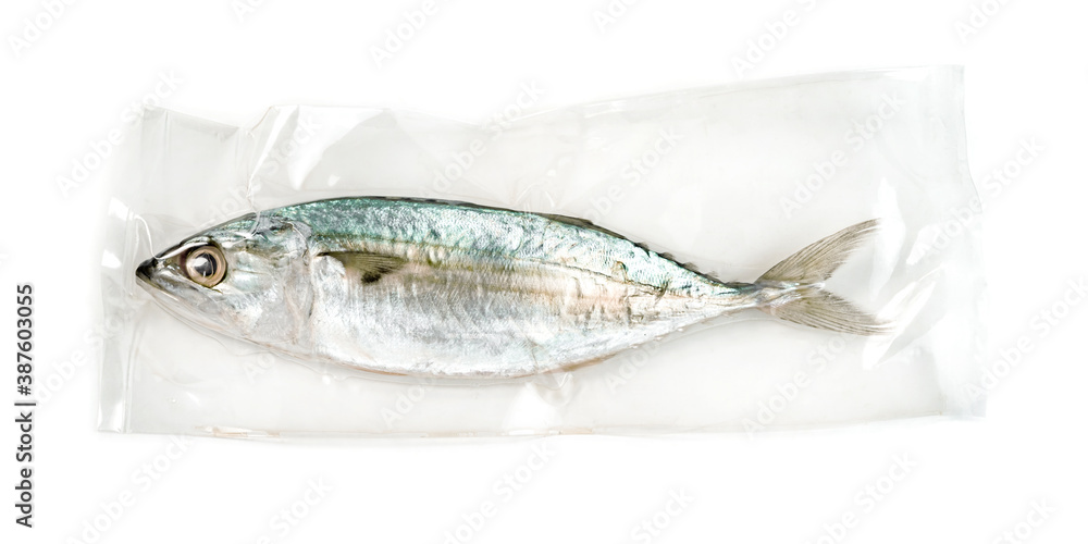 Fresh mackerel fish with vacuum plastic bag isolated on white background Fresh mackerel fish with vacuum plastic bag isolated on white background