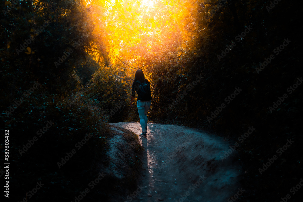 Fototapeta premium Chica bosque puesta de sol