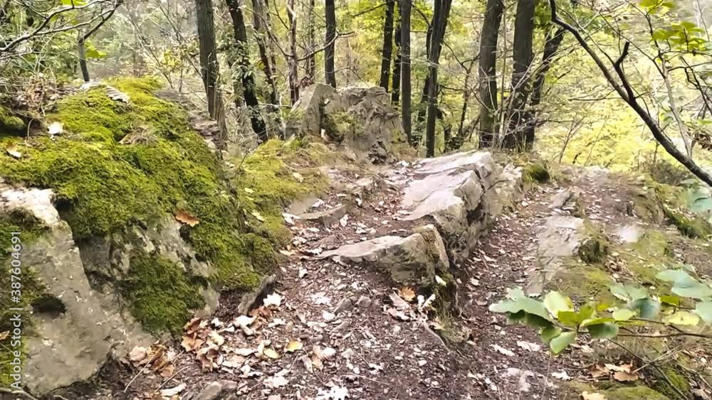 Mountain hiking tour through a forest over rocks and stones in slow motion and pov shows idyllic scenery of green foliage and adventure tour trails and pathfinder in meditative and tranquil isolation Mountain hiking tour through a forest over rocks and stones in slow motion and pov shows idyllic scenery of green foliage and adventure tour trails and pathfinder in meditative and tranquil isolation