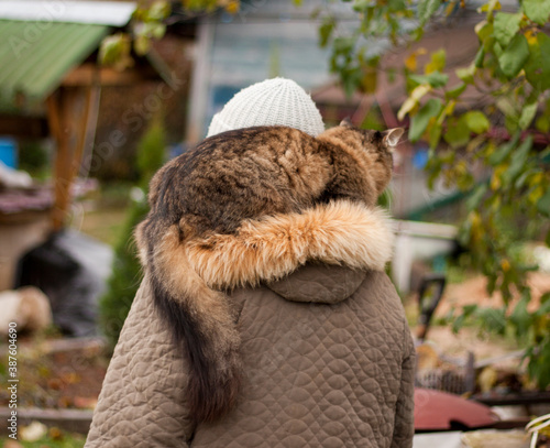 the cat on my grandmother's neck is like a collar