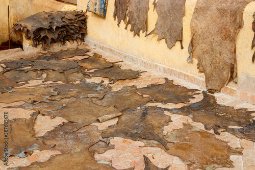 Foto Goat hides used for traditional leather production drying on a tile floor and hanging from the wall at the Chouara tannery, Fez, Morocco