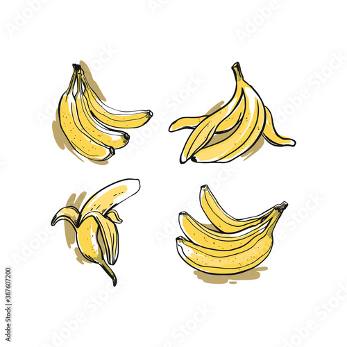 Set of yellow bananas. Bunch and peeled banana. Juicy tropical fruit, natural dessert. Sketch style. Vector clipart on isolated white background.For printing banners, postcards, product packaging.