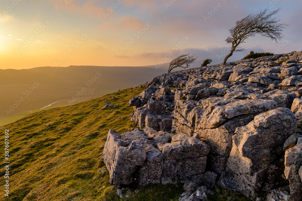 Yorkshire Dales Summer sunset with windswept trees and Limestone pavement.