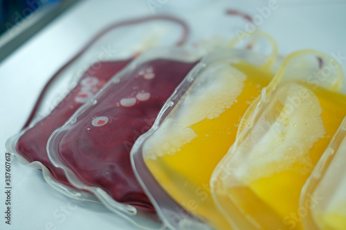 packed red cell (PRC) and fresh frozen plasma (FFP) bags for blood transfusion 