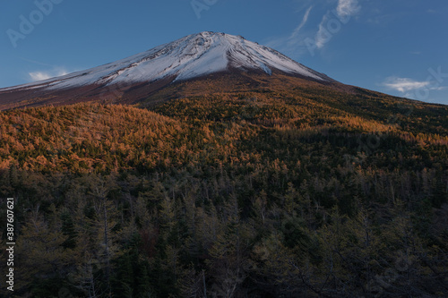 Fototapeta Naklejka Na Ścianę i Meble -  新雪と紅葉の富士山