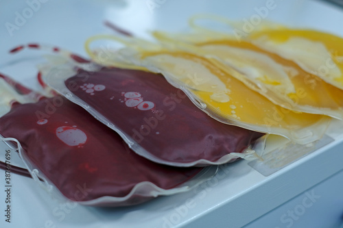 packed red cell (PRC) and fresh frozen plasma (FFP) bags for blood transfusion 