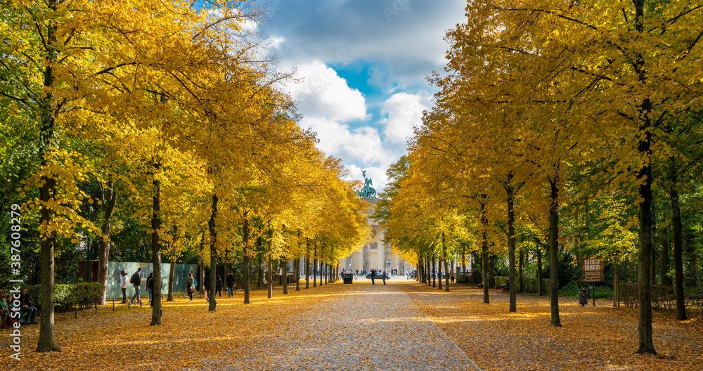 Naklejka premium Herbst in Berlin