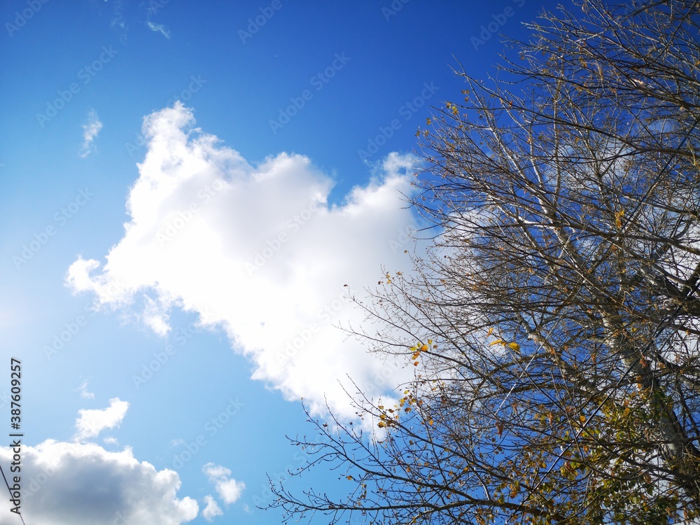 sky with clouds sky with clouds
