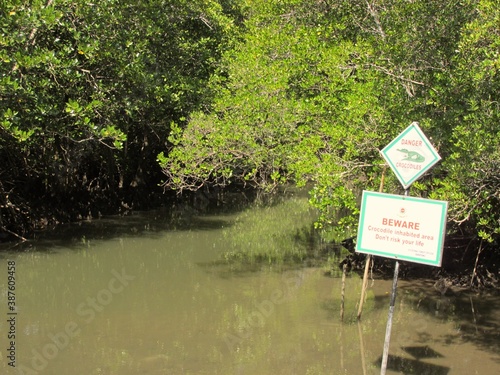 Mangrove forest and river with danger sign board for crocodile inhabited area at Andaman nicobar island in India.
