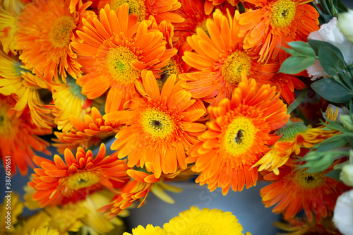 close up flowers on background