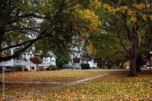 Quiet residential street in October