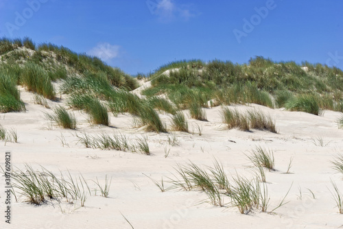 Dünen und Dünengras am Oststrand auf der Nordseeinsel Baltrum photo